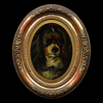 Portrait of a Spaniel