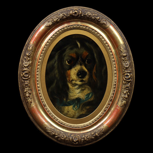 Portrait of a Spaniel