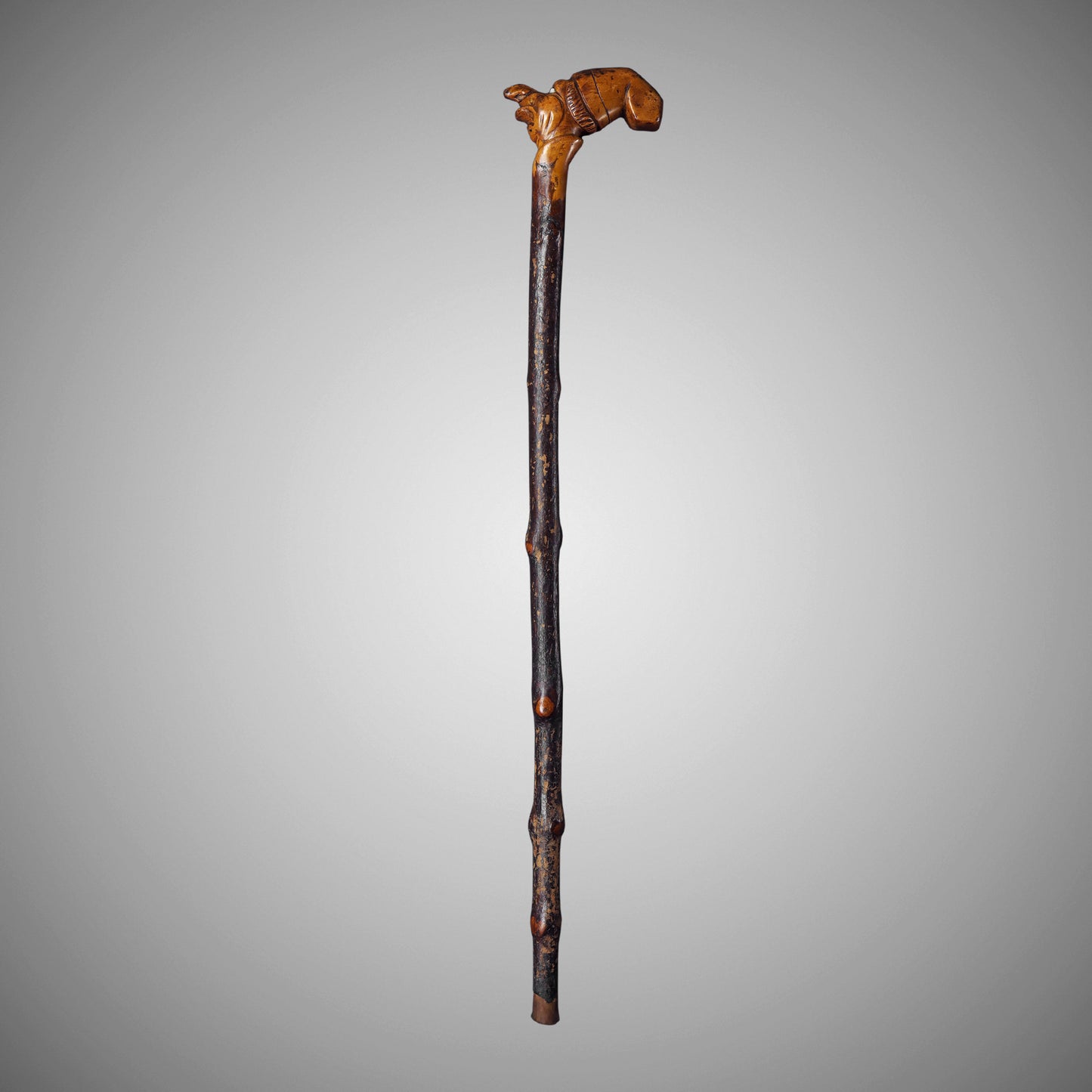 Caricature Walking Stick