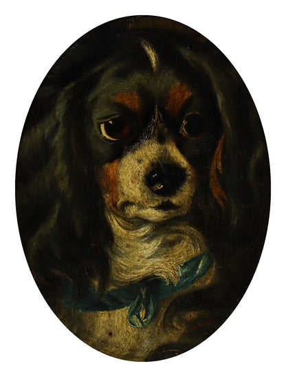 Portrait of a Spaniel