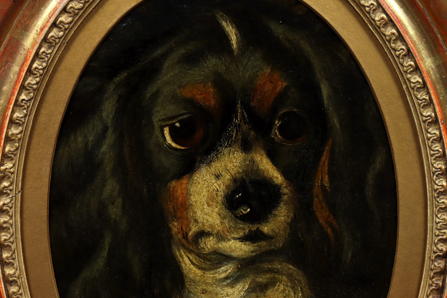 Portrait of a Spaniel