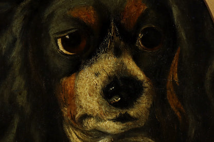 Portrait of a Spaniel