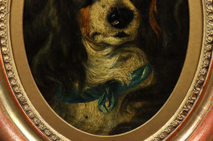 Portrait of a Spaniel