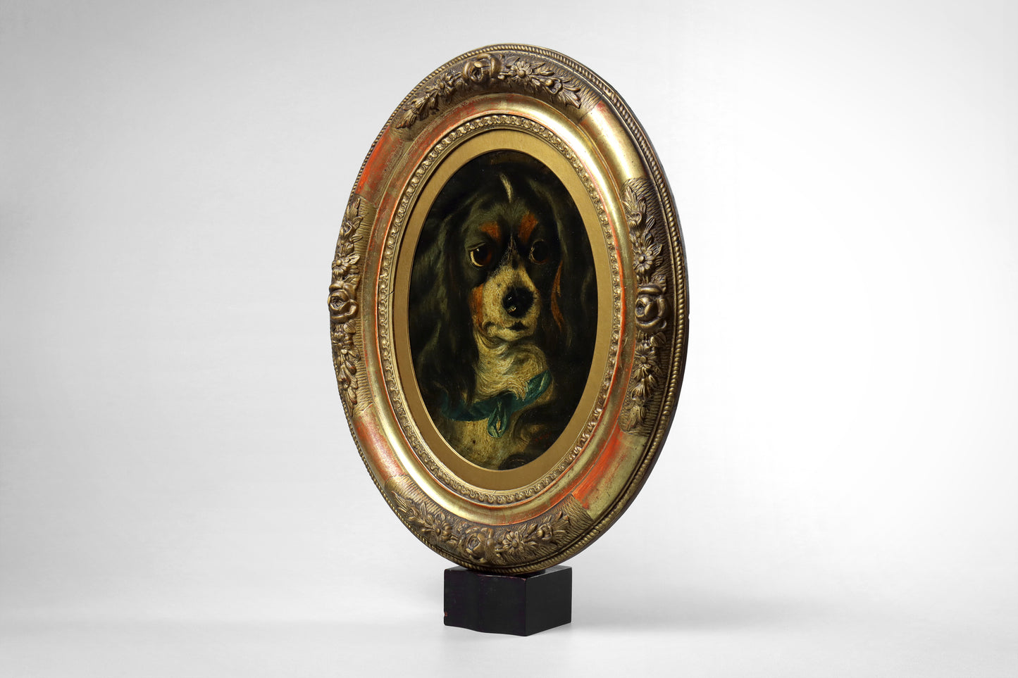 Portrait of a Spaniel