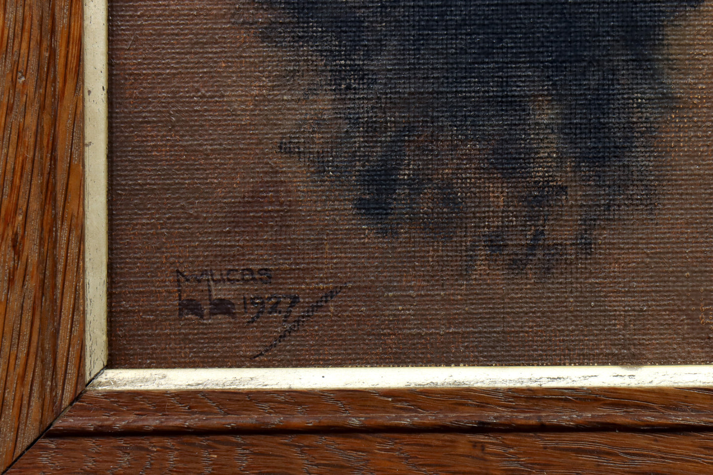 Portrait of a Scottish Terrier