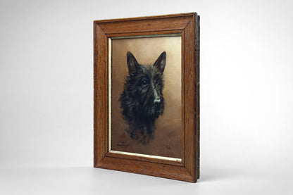 Portrait of a Scottish Terrier