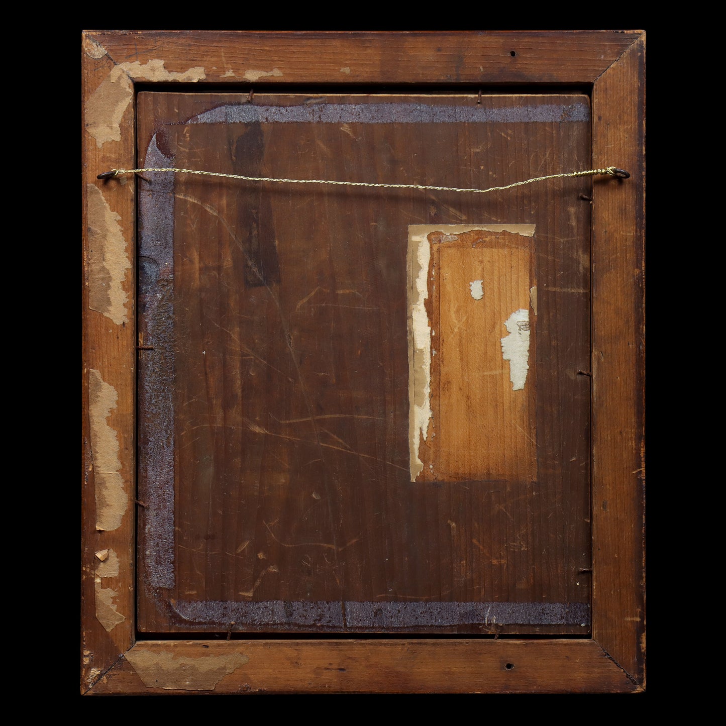 Portrait of a Border Collie