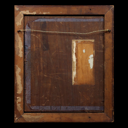 Portrait of a Border Collie