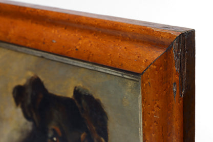 Portrait of a Border Collie