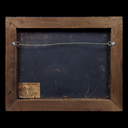 Portrait of a Jack Russell Terrier