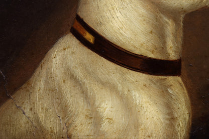 Portrait of a Jack Russell Terrier