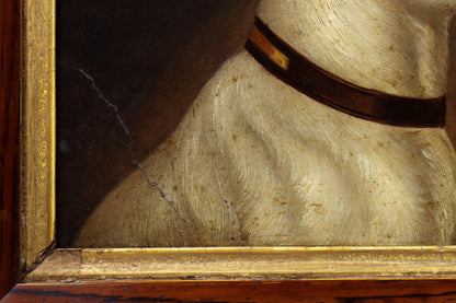 Portrait of a Jack Russell Terrier