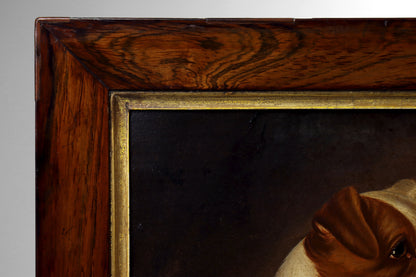 Portrait of a Jack Russell Terrier