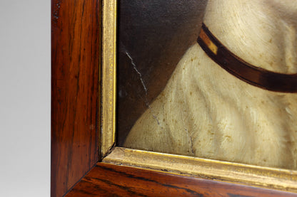 Portrait of a Jack Russell Terrier