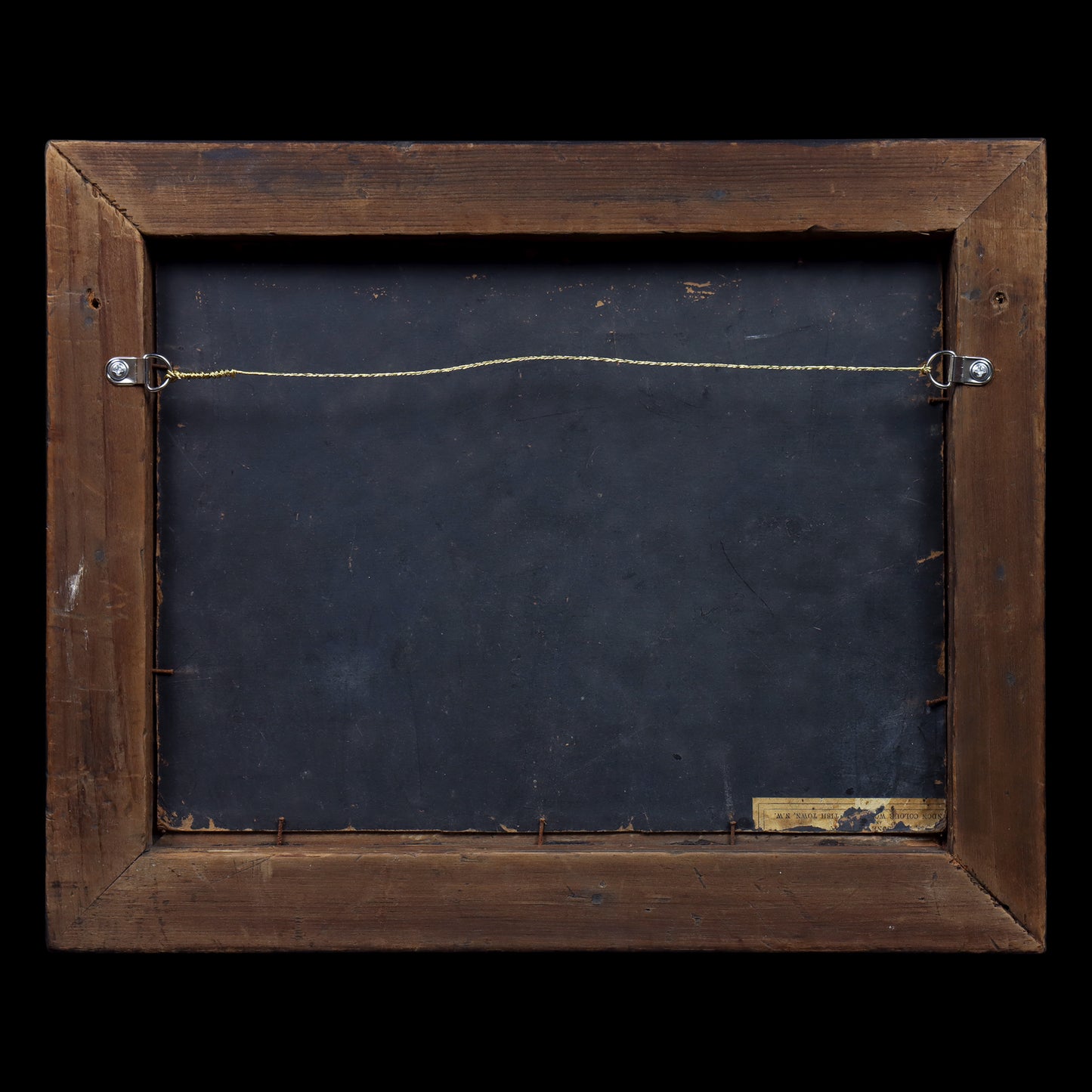 Portrait of a Jack Russell Terrier