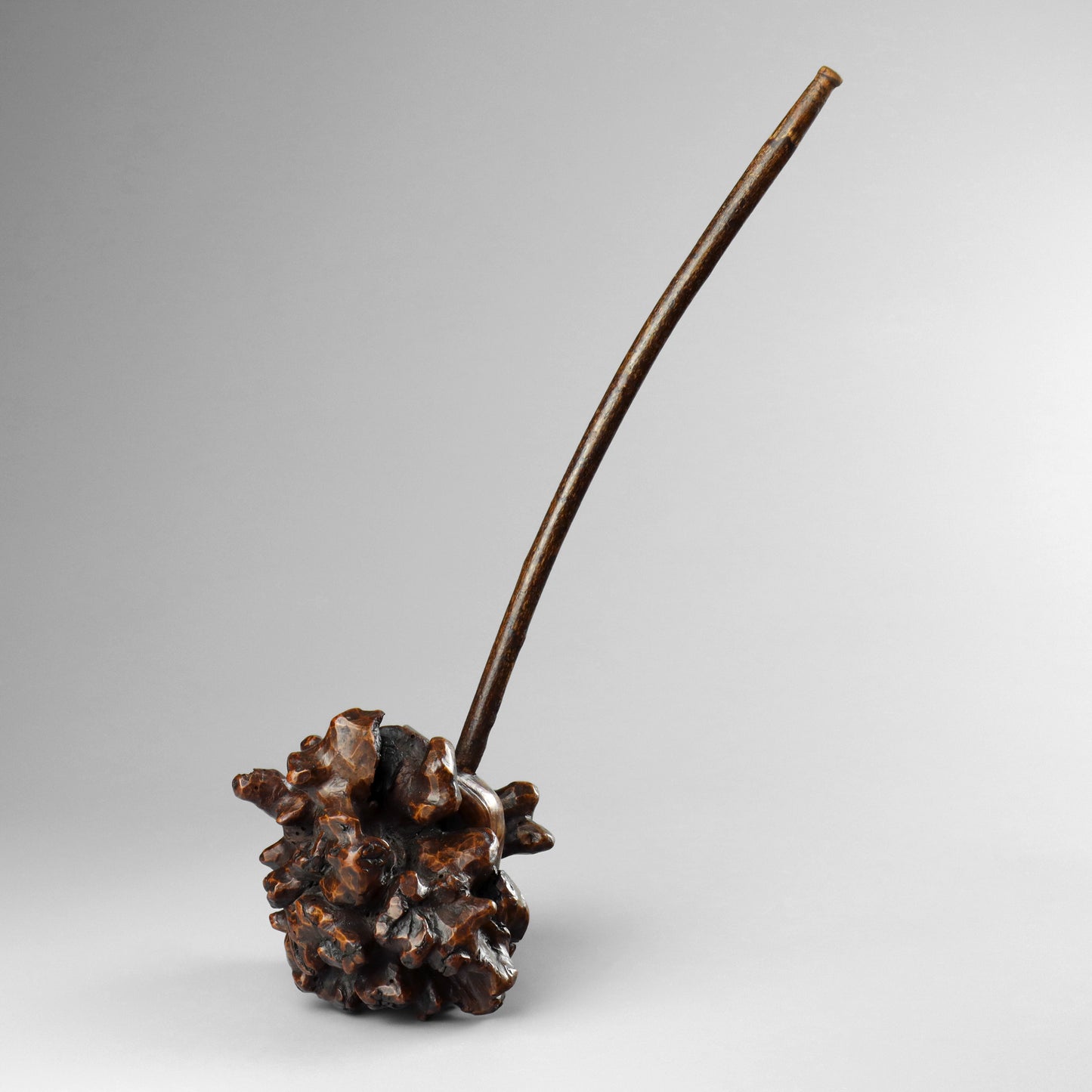 Burr Wood Pipe