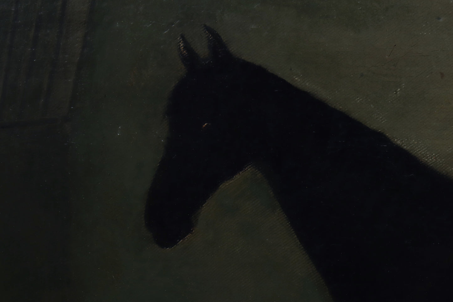 Portrait of a Racehorse