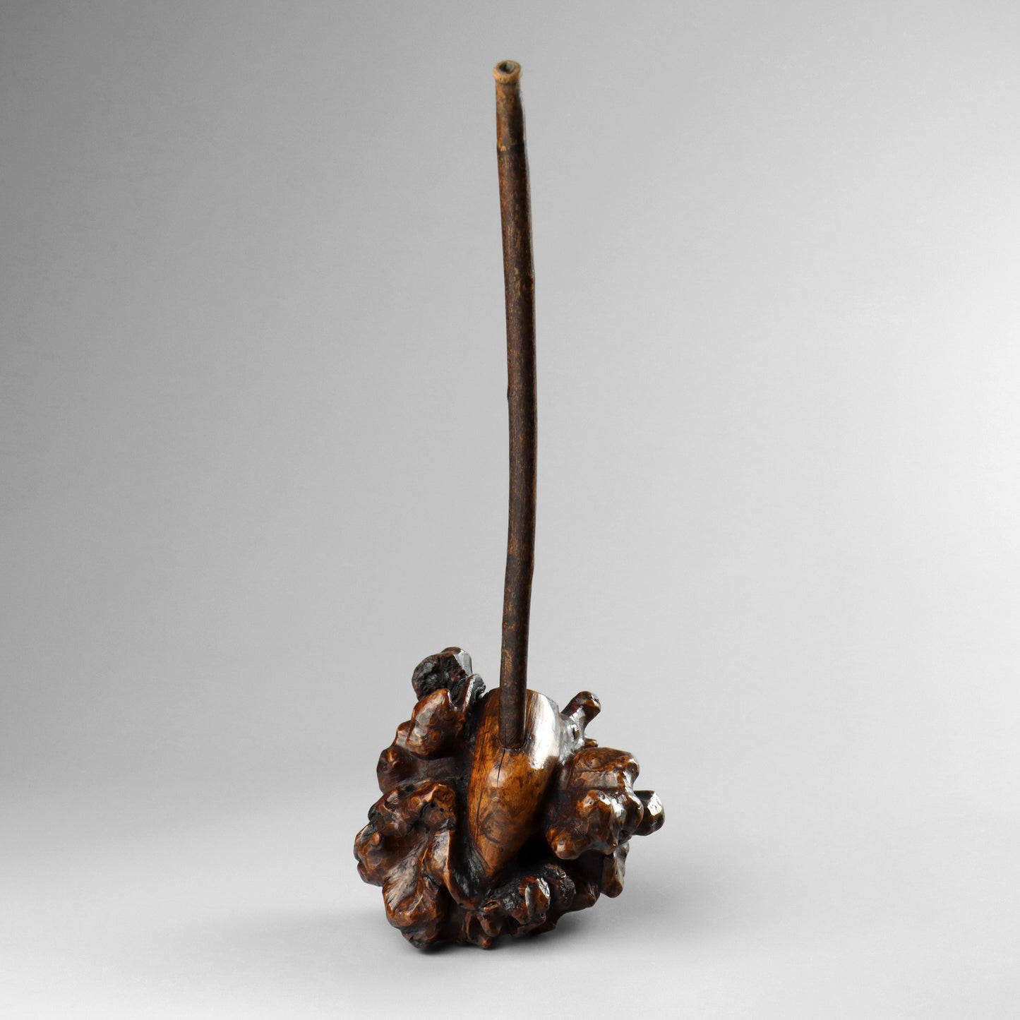 Burr Wood Pipe