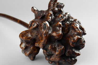 Burr Wood Pipe