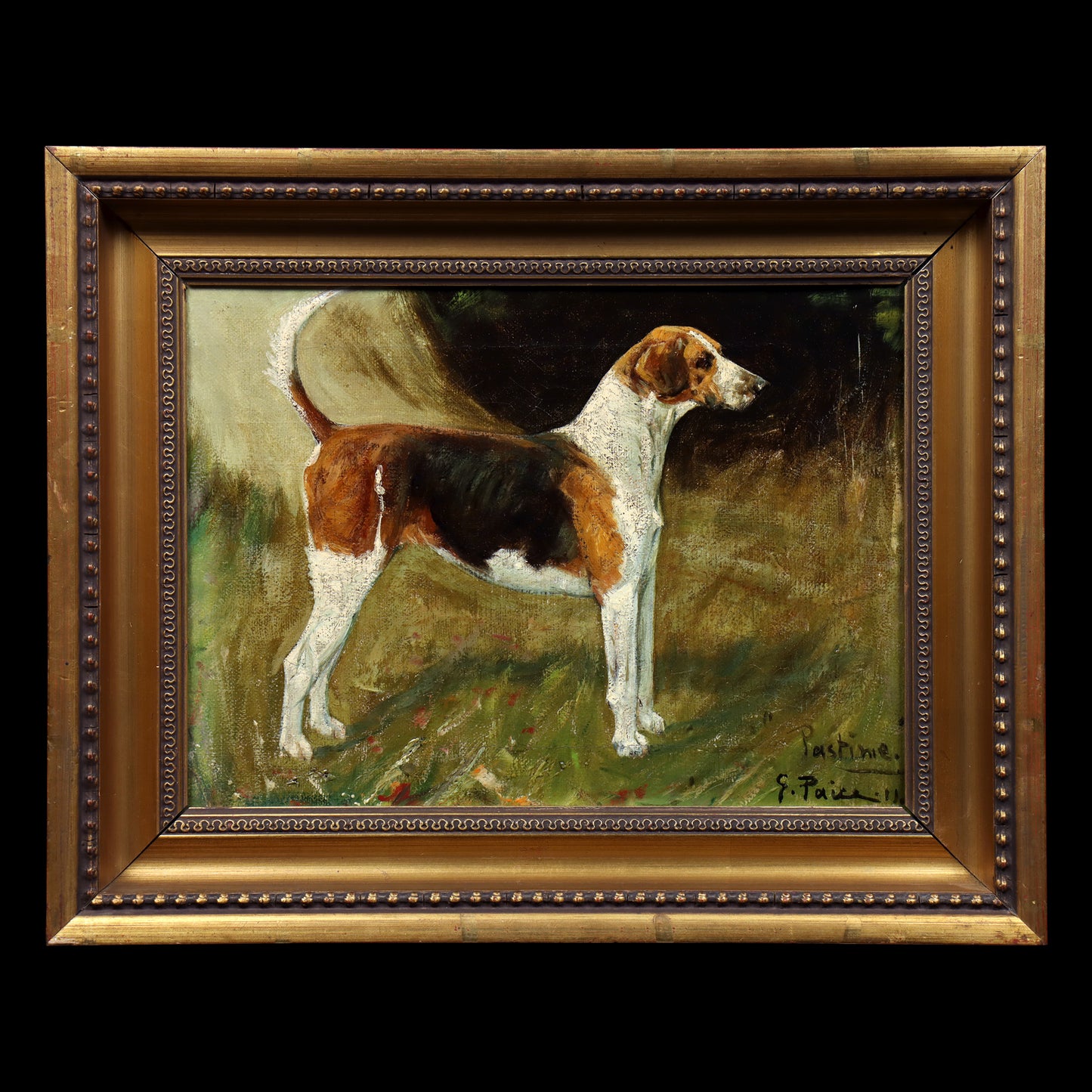 Portrait of a Foxhound by George Paice