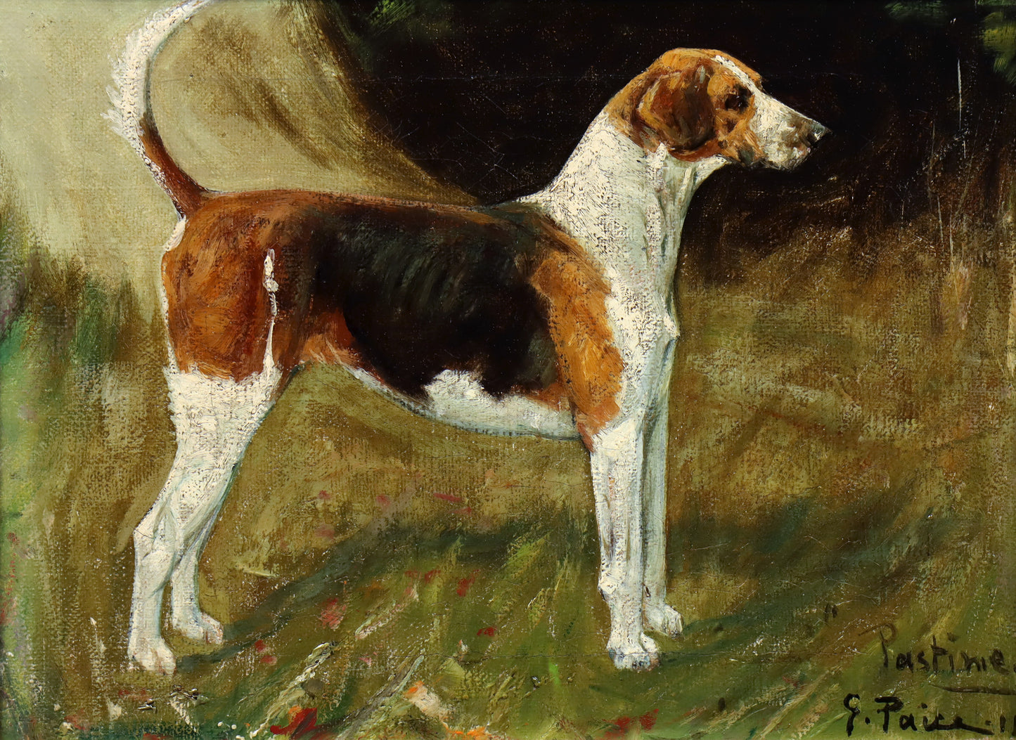 Portrait of a Foxhound by George Paice