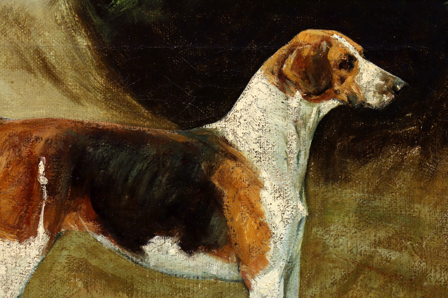 Portrait of a Foxhound by George Paice