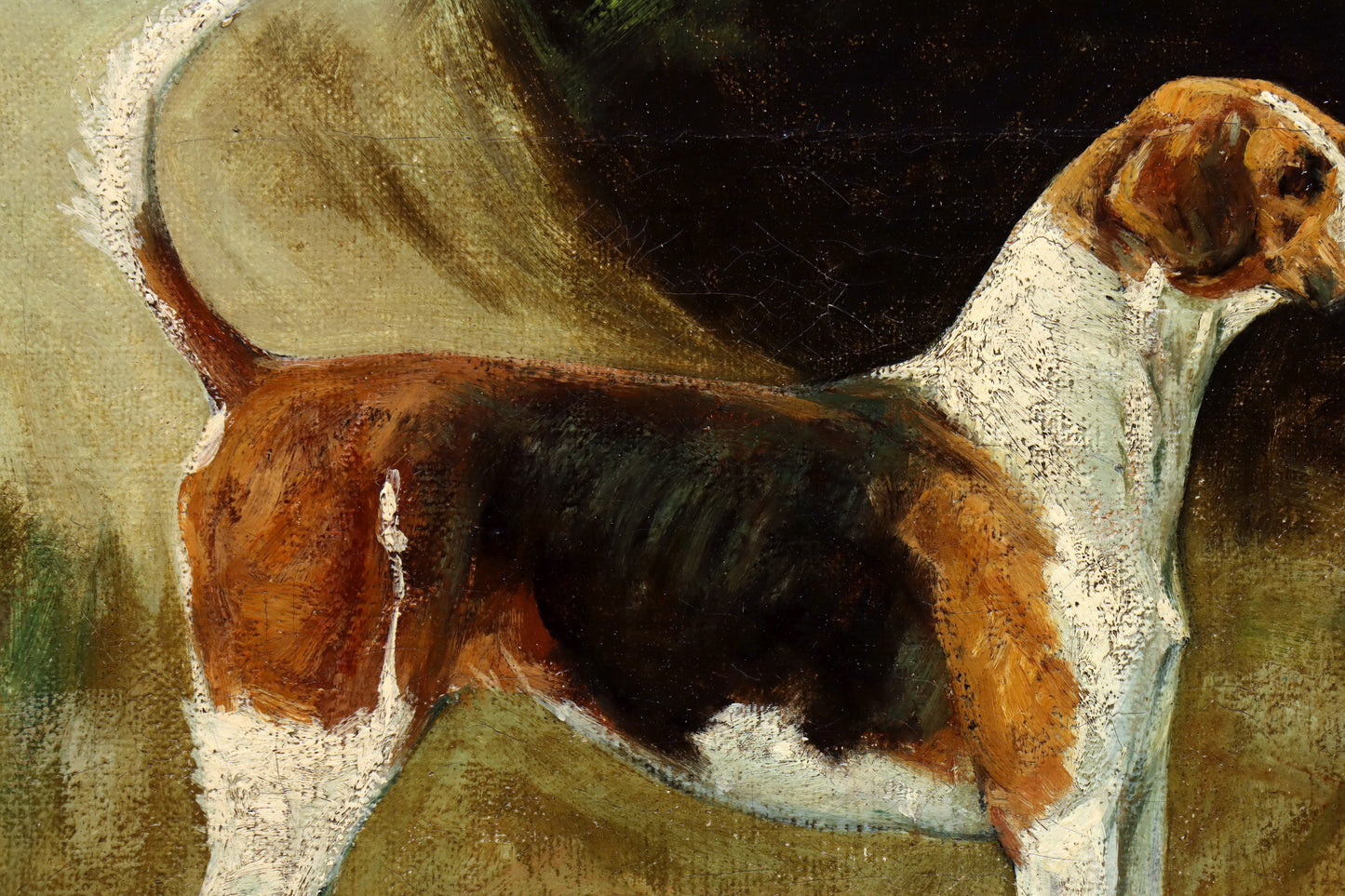 Portrait of a Foxhound by George Paice