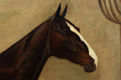 Portrait of a Show Jumper Horse