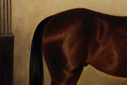 Portrait of a Show Jumper Horse