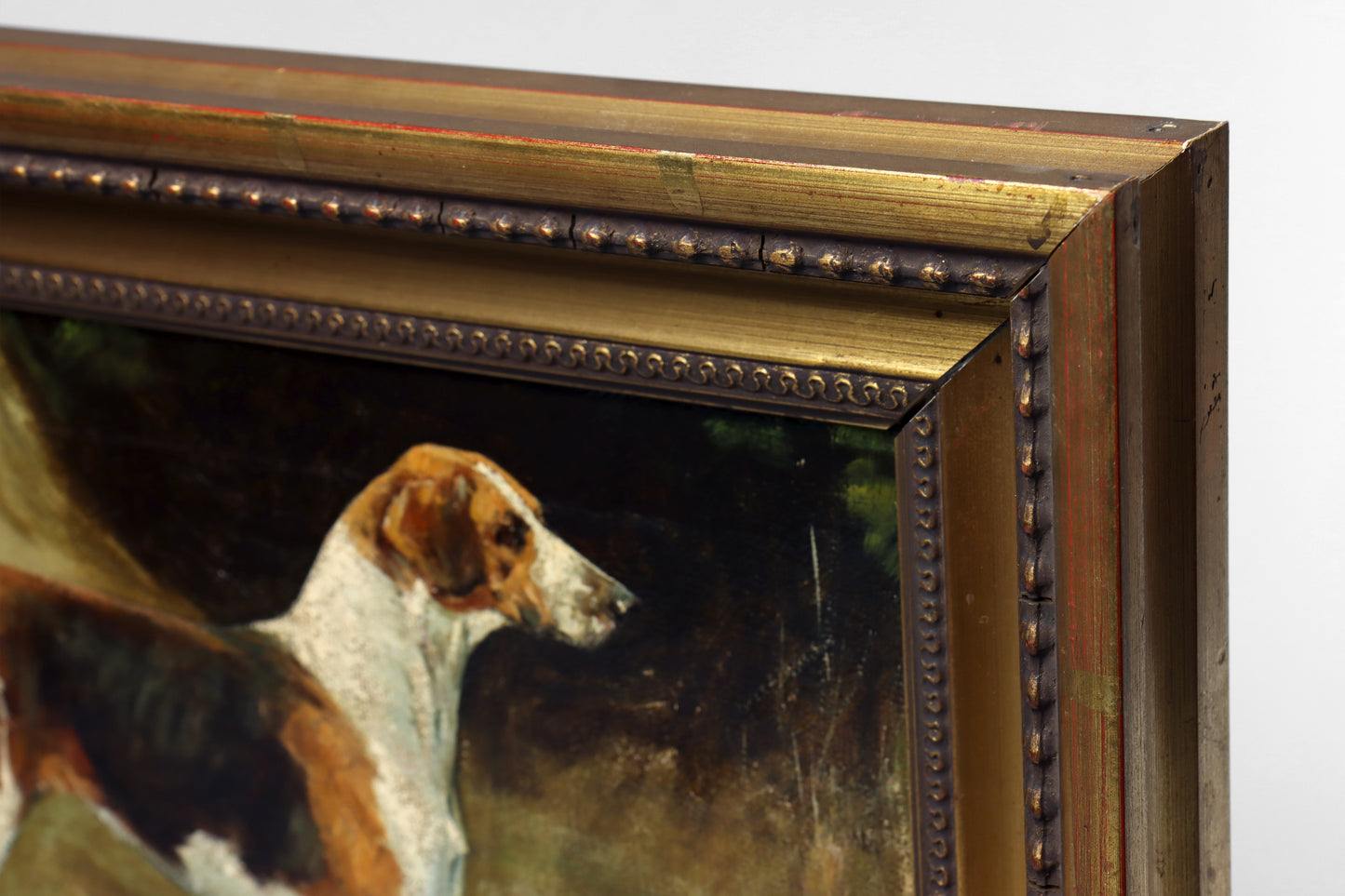 Portrait of a Foxhound by George Paice