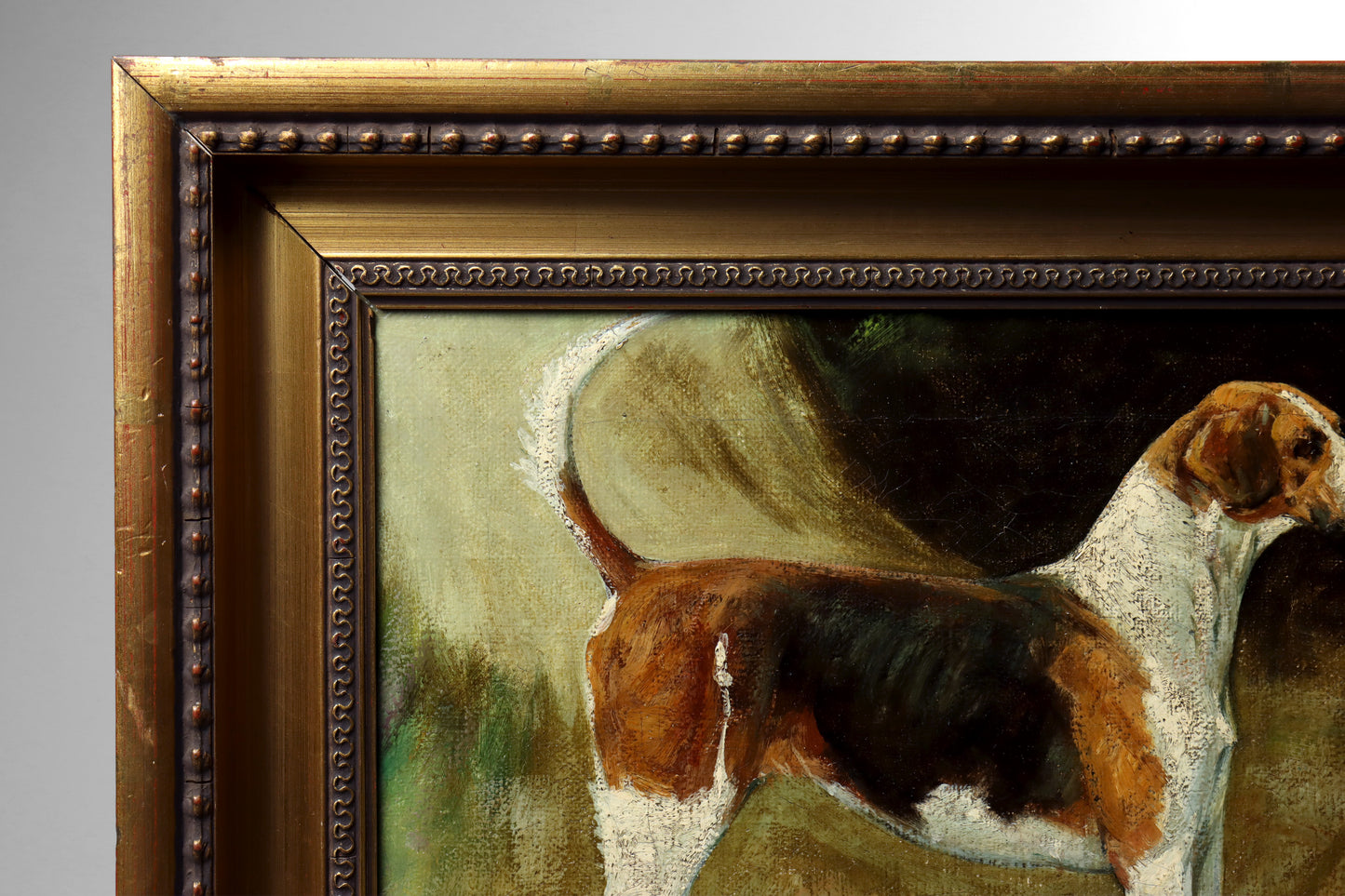 Portrait of a Foxhound by George Paice