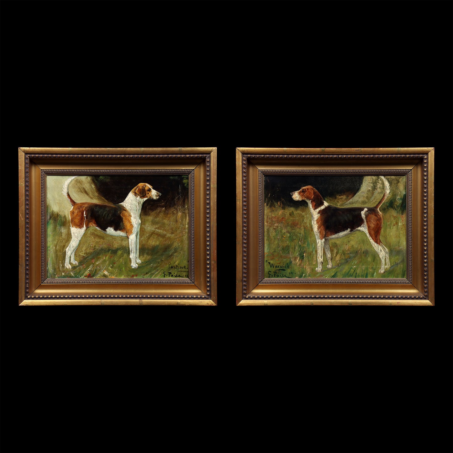 Portrait of a Foxhound by George Paice