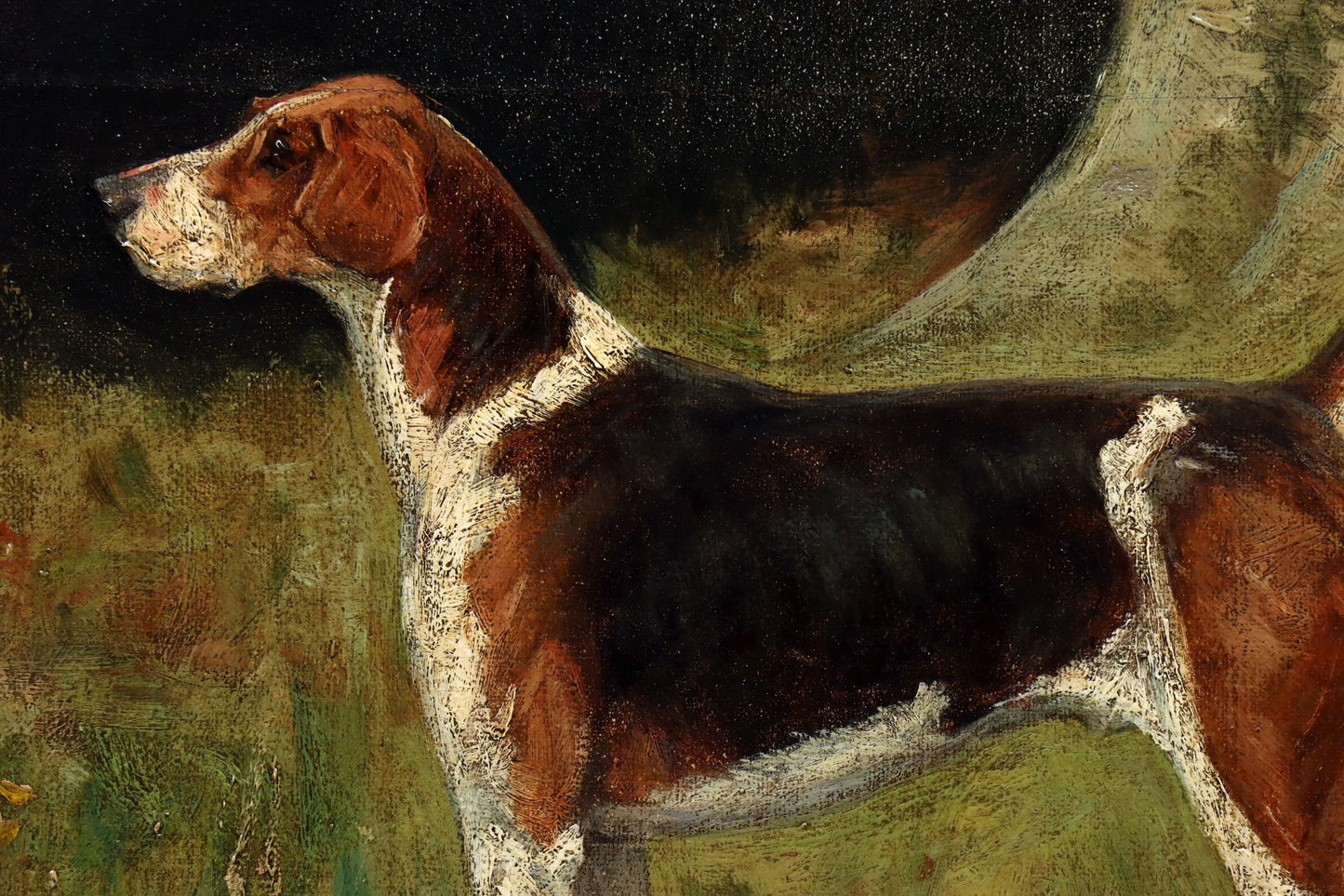 Portrait of a Foxhound by George Paice