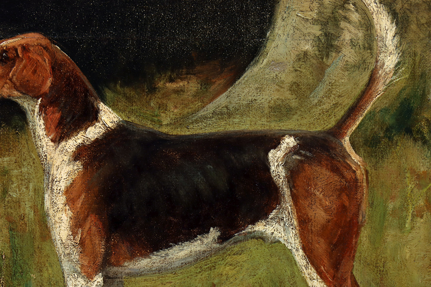 Portrait of a Foxhound by George Paice
