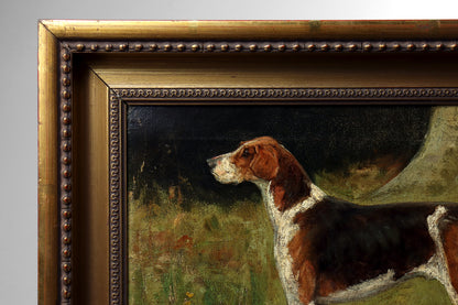 Portrait of a Foxhound by George Paice