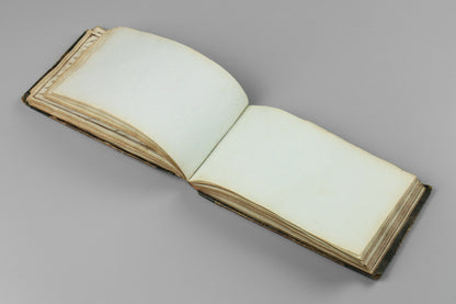 Maori Wars - HMS Castor Log Book
